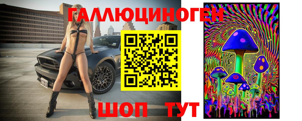 наркошоп  Галлюциногенные грибы Psilocybe  Вход с VPN  Псилоцибиновые грибы GOLDEN TEACHER  Волгодонск 
