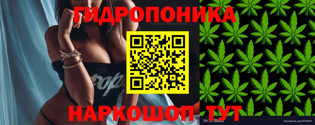 Шишки марихуана семена  Каннабис OG Kush  Вход с VPN  Волгодонск  Бошки Шишки планчик 
